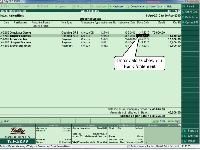 Tally Accounting Software