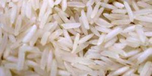 Non Basmati Rice