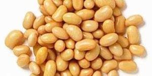 Organic Cereals, Pulses, Grains, Spices, Onion, Sugar, Jaggery