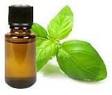 Basil Oil