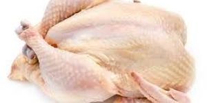 Fresh Chicken