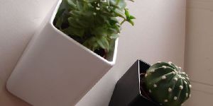 Wall Pots