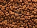 Fenugreek Seeds