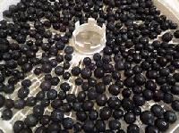 Dehydrated Seedless Black Currant