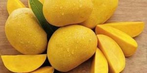 Alphonso Mango