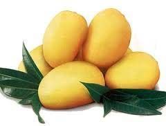 Chaunsa Mango