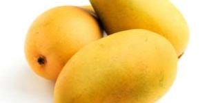 Dashehari Mango
