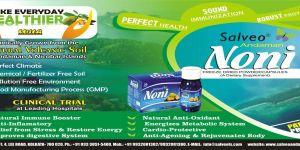 Noni Powder
