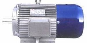 Permanent Magnet Generator