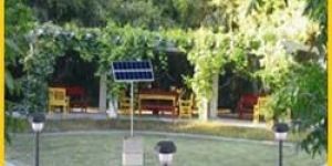 Solar Garden Light
