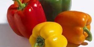 Colour Capsicum