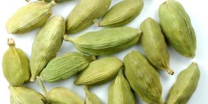 Cardamom