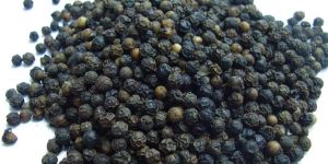 Black Pepper