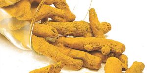 Turmeric