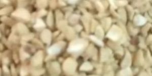 SWP Split Cashew Nuts