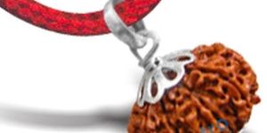 Aath Mukhi Rudraksh