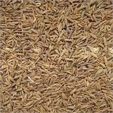 Cumin Seed