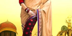 Brown and Saddle Brown Embroidered Party Wear Sarees