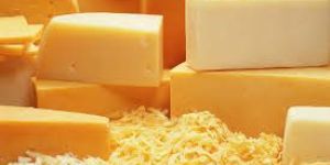 Mozzarella Cheese