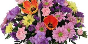 Fresh Flowers