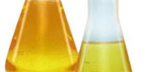 Fish Oil