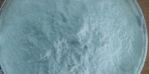 Lead Single Commodity Stabilizers