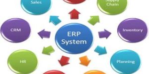 Enterprise Resource Planning (ERP)