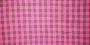 Checks Fabric