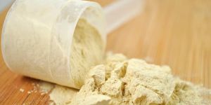 Protein Supplements