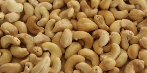 Cashew Nuts