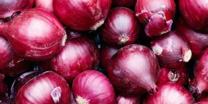 Red Onion