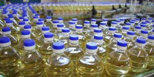 Sunflower Oil