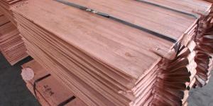 Copper Cathode
