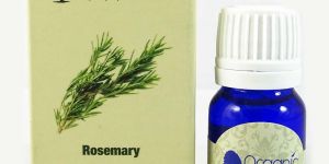 Organic Harvest Rosemary Essential Oil