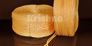PP Danline Rope