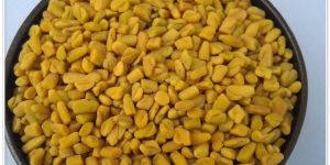 Fenugreek Seeds (Methi)