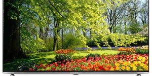 Digiplus 65 LED Display