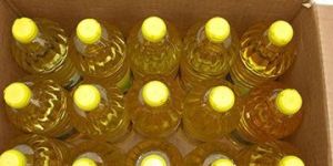 Corn Oil