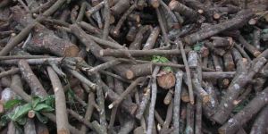 Rubber Firewood