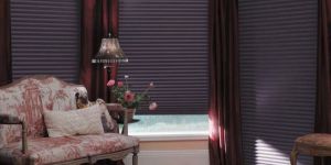 Duette Blinds