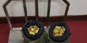 Gold Bars