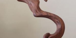 Lady in Sleeping Posture 2