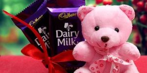 Chocolate Teddy Combo