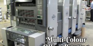 Multicolour Offset Printing Services