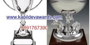 Silver Trophies