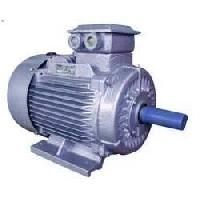 Three Phase Electric Motors