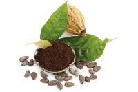 Hair Loss Herbal Medicines
