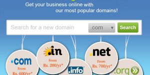Domain Name Registration
