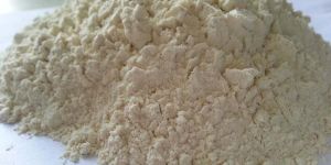 Dehydrated White Onion Powder