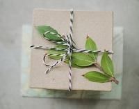 Presentation Articles